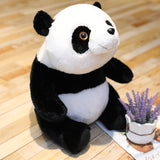 enorme Peluche Panda Assis