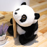 Nounours Géant</br>Peluche Panda Assis "Tsing"